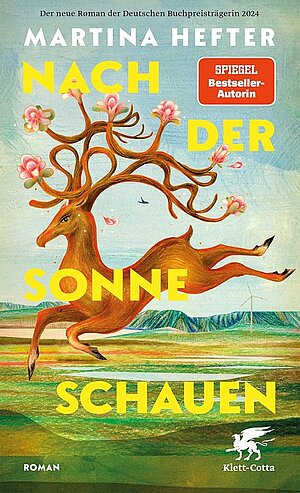 Nach der Sonne schauen (Martina Hefter)