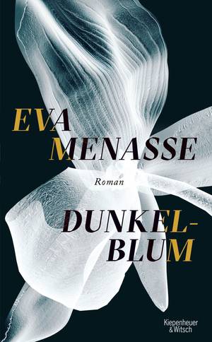 Dunkelblum (Eva Menasse)