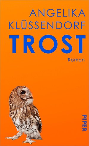 Trost (Angelika Klüssendorf)