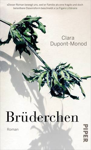 Brüderchen (Clara Dupont-Monod)