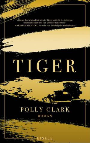 Tiger (Polly Clark)