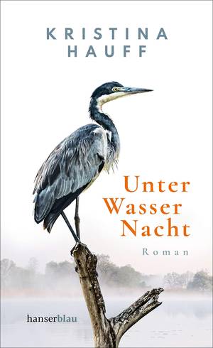 Unter Wasser Nacht (Kristina Hauff)