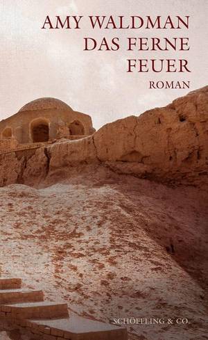 Das ferne Feuer (Amy Waldman)