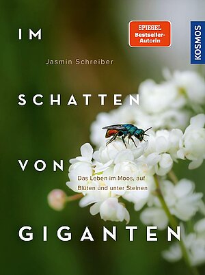 Im Schatten von Giganten (Jasmin Schreiber)